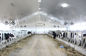 Impressão de alto brilho 5mm - os painéis de teto do PVC de 10mm para a exploração agrícola CE muram/telhados