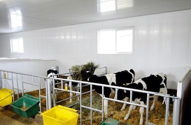 Bom preço Impressão de alto brilho 5mm - os painéis de teto do PVC de 10mm para a exploração agrícola CE muram/telhados on-line